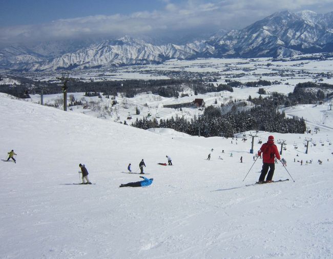 毎年冬にはスキーを楽しみます。JR SKI SKIで新潟県・越後湯沢へ行くか、3連休があれば北海道のニセコビレッジに行くことにしています。今年は2月に3連休があるので本来ならニセコへ行くのですが、夏にゴルフで行ったばかりだったので、昨年同様、越後湯沢でゆっくり楽しむことにしました。<br />JR SKI SKIのツアーは新幹線・ホテル・リフト代がセットになっているお得なパックです。さらにナイトインプランが充実していて、金曜に1泊するプランであれば非常に安く手配できます。今回は金曜発のナイトインで上越国際スキー場・グリーンプラザ上越に2泊することにしました。<br />18:52発の新幹線で越後湯沢に向かいます。連休前とあって東京駅は大混雑。時間に正確な新幹線が天候の影響で少し遅れていました。<br />いい感じでお腹が空いていましたが、越後湯沢に着いたらうどんすきを食べることにしていたので、お弁当には目もくれずお茶で我慢です。<br />20:15に越後湯沢に到着しました。スキーセットはすでにホテルへ送っていたのですが、ちょっとした衣類を持っていたので、余計な荷物はロッカーに入れて、西口にあるお食事処「森瀧」に直行です。<br />雪が少し降っていましたが、道路は消雪パイプからの水で歩きやすくなっていました。<br />西口周辺ではお蕎麦の「しんばし」に行ったことがあります。今回は念願の森瀧でテンションも上がります。<br />口コミで評判のうどんすきと舞茸の天ぷらをいただきました。へぎそばもいいけど、冬はやっぱり鍋ですね。<br />ボリューム満点でとても美味しかったです。<br />21:30にお店を出て、駅前のセブンイレブンで買い物を済ませて、東口のバスロータリーへ向かいます。22:00発のバスは宿泊者ですぐに満席になりました。<br />ホテルに着くとチェックインを済ませて、部屋に向かいます。スキーの受け取りは面倒だったので、明日の朝に後回しです。<br />翌朝、ゆっくりめの朝食を済ませた後、スキー道具をピックアップしてロッカーにしまいました。それから温泉です。朝の10時前後は誰もいなくていいんですよね。樺野沢温泉はお湯がやわらかくて気持ちがいいです。<br />部屋にもどって、スキーの準備を済ませ、いざゲレンデへ。<br />9日(土)はあいにくの天気です。お気に入りのコースまで行くのですが、リフトに乗っている時間が長くてすぐに寒くなりました。それでも何回か滑っていると温かくなりました。<br />おしるこ茶屋で遅めのランチをとってからゆっくりホテルに戻ります。<br />再度温泉に浸かって汗を流してから、リラクゼーション・スパで夫婦並んでの1時間のマッサージ。気持ちよかった〜。<br />夕食はラ・セゾンを予約しました。ここだけは追加料金になるそうです。<br />洋食のみで、パスタ、フライもの、サラダ、牛肉のしゃぶしゃぶ(デモンストレーション)、タイ風カレー、スープ3種類などがあり、わりと充実していました。中でもデザートがとても良かったです。ケーキ、フルーツはもちろん、特別にチョコレートファウンテンがあり、バナナやイチゴやマシュマロを串に刺してから流れるチョコにディップしていただきました。チョコの甘さがフルーツに合っていて美味しかったです。<br /><br />最終日は快晴です。前日同様、ゆっくり朝を済ませて、11時のチェックアウトまで部屋でまったりしました。<br />フロントで精算を済ませてから、荷物をクロークに預けてゲレンデへ向かいます。<br />日差しが強く、昨日とは違ってリフトに乗っていても暑いです。今日は新たに開拓したコースでたっぷりスキーを楽しみました。2時になりホテルに戻ると急に天候が変わって雪が降りはじめました。早めに戻っておいてよかった!<br />道具を片付け、クロネコヤマトで手続きを済ませてから、売店で牛乳と肉まんを食べました。<br />最後にお風呂にゆっくり浸かりました。疲れが取れますね〜。<br />16:00発のバスに乗って越後湯沢駅に戻ります。バスは東口に到着し、そのまま近くの中野屋でへぎそばをいただきました。<br />越後湯沢の駅ナカは改装が完了していて、お食事処が増えています。連休の行楽客でごった返していて、どの店も行列ができていました。<br />雪ん洞の名物「爆弾おにぎり」を買って、新幹線で東京に帰りました。<br />スキーは天候に左右されますね。今回は2泊してよかったです。ゆっくりできました。