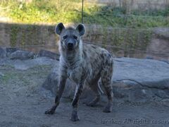 289 天王寺動物園・サポーター企画・裏側ガイド