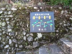 ワンコと一緒　in　熊野古道（大日越）