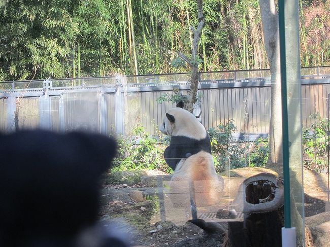 上野動物園でお散歩 上野 御徒町 東京 の旅行記 ブログ By 旅猫f ファイ さん フォートラベル