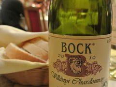 ヴィッラーニのワインセラーペンション『BOCK』