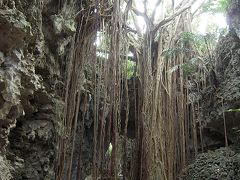 はじめての沖縄　（３） 南部：ガンガラーの谷は神秘の森