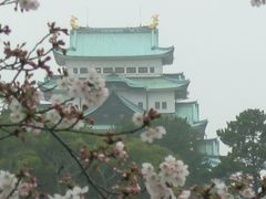 春の名古屋城(忍び寄る黄砂に煙る名古屋城）と風邪気味の私は、我が家で春を謳歌！