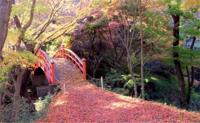 12紅葉を探してその4 後半 矢祭山と袋田の滝ライトアップ 大子 袋田温泉 茨城県 の旅行記 ブログ By まりも母さん フォートラベル