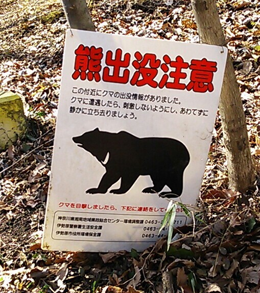 ロマンスカーで弘法山ハイキング