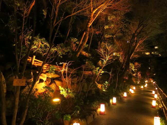 ホテル椿山荘東京の庭園に、京都「東山花灯路」を再現！<br /><br />そんなイベントがここ数年開催されていたとはつゆ知らず、<br />今年初めての訪問。<br />椿山荘の庭園自体訪れた事のも今回が初めて。<br />コンパクトながら都心に見事な庭園があることに大層驚く。<br /><br />通路に行灯をあしらってのライトアップ。<br />冬寒で空気の凛とした雰囲気の中で、幻想的な風景がさらに<br />映える。<br />身近な場所でプチ京都を体験。<br />開催は2月28日まで。<br /><br />京あるき in 東京2013　ホテル椿山荘東京 「花灯路」<br />http://www.kyoaruki.jp/events/view/145