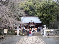 ●伊豆山神社と熱海桜