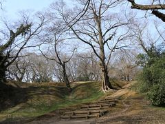 春を探しに　佐倉城址公園と武家屋敷