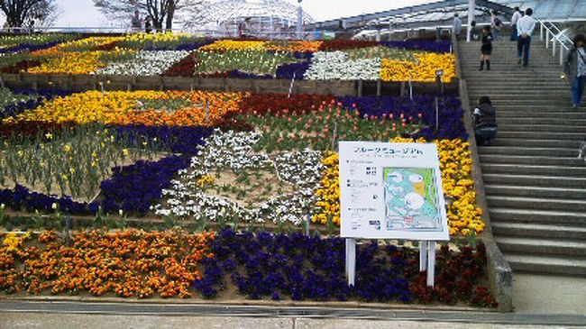 ほったらかし温泉に行く途中に笛吹川フルーツ公園がありアプローチの花壇が綺麗で見事でした。