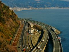 さった峠Walk-2　富士山＆駿河湾　絶景の眺望で　☆京成バス新春恒例で３回目