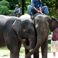 北タイの25寺院＆北タイのグルメ旅 in チェンマイ★2011　08　5日目【CNX⇒ランパーン】　