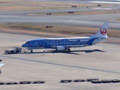 羽田空港へジンベイジェットを見に行き、空港限定土産を買ってくる