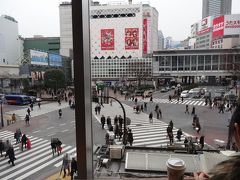 2013年 2月　東京散策