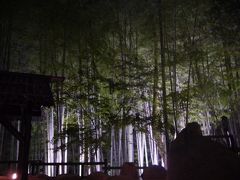 白川温泉にある竹つくしの宿
