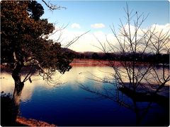 ●名庭園巡り？の京都冬の旅2013～④仁和寺再び、そして大覚寺へ●