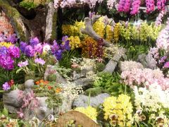 春を呼ぶ蘭の祭典～東京ドームの世界らん展2013（1）オーキッドロードから洋蘭・東洋蘭・日本の蘭のディスプレイほか