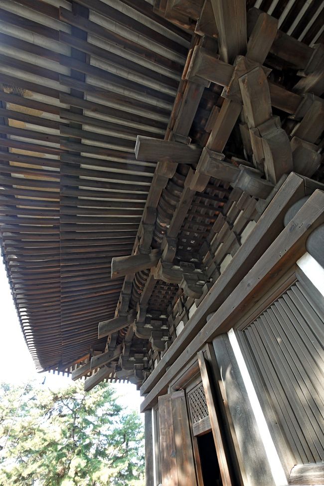 【国内108】2013.1風邪を押して奈良に1　興福寺五重塔内陣 奈良国立博物館