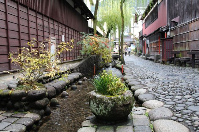 郡上八幡の夏はおどりとともに始まり、おどりとともに終わる、とまでいわれるほど郡上おどりが有名な町で、熱い真夏の夜、１か月にわたって踊り続けられます。<br /><br />「郡上のな〜♪、八幡出てゆく時は♪、雨も降らぬに袖しぼる♪」の歌詞で知られる郡上おどりは、郡上八幡城主の「身分の隔てなく無礼講で｣とのお達しから始まったもので、４００年の間その伝統が受け継がれ、地元の人と観光客が一つの輪になって踊る、参加型のおどりとして発展しています。<br /><br /><br />一方、町の中心部を流れる吉田川を軸に発展してきたこの町は、独特の水の文化を育んでいます。<br /><br />清潔な水を引き込んだ３槽の水槽を段々に設け、一番目は飲料水、二番目は食材の洗浄、三番目は食器の洗浄と洗濯に利用する、「水舟」と呼ばれる水利施設が各家庭に設置されています。<br /><br />この、水舟から出る食物の残りクズを、餌として鯉などに食べさせることで、自然に浄化された水を川に放流する、非常にエコな水循環システムが古くから人々の生活に根付いています。<br /><br />また、いがわこみち、やなか水のこみち、吉田川沿いの遊歩道など、水にまつわる小路が整備され、地元の人々のみならず、多くの観光客に親しまれています。<br /><br /><br />郡上八幡城の城下町である大手町、柳町、職人町、鍛冶屋町には、この町独特の「袖壁」や美しい格子のある町屋が連なり、水の文化と一体となった美しい町並みを形成しています。<br /><br /><br />訪れた時は、夕刻近かったこともあって観光客はまばらで、美しい町並みとお月様が織りなすほのかな光景をゆっくり楽しむことができました。