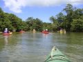 2011夏　八重山諸島への旅③