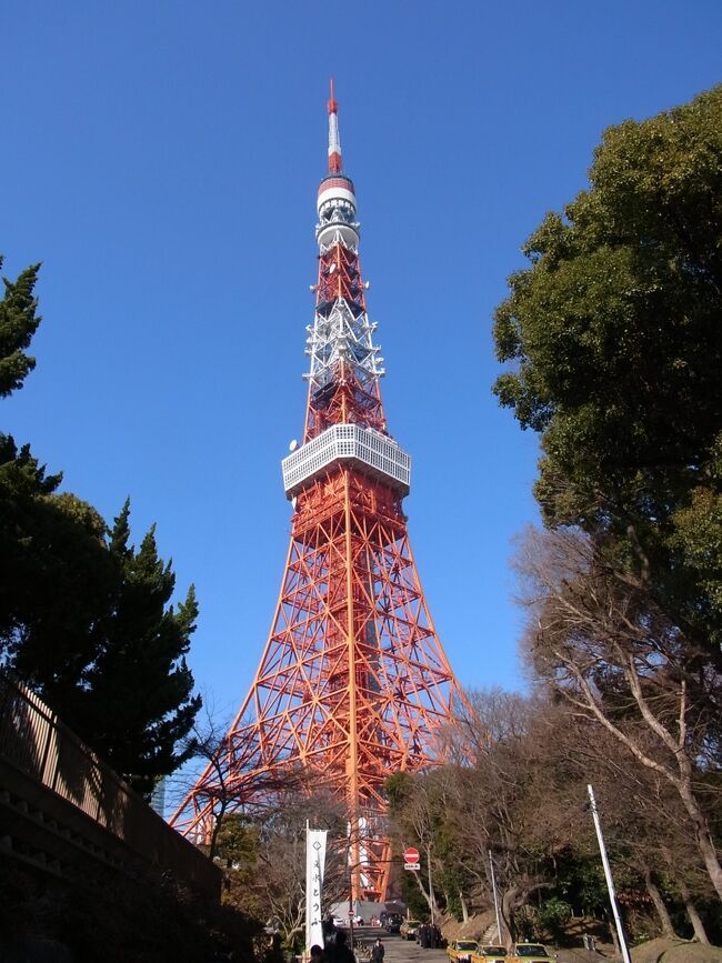 東京２泊３日　ダブルタワー真ん中ディズニーランド　のはずが・・・　１日目（１／１２）初めての東京タワー＆築地（２０１３年１月）