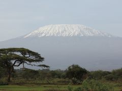 ケニア・タンザニアの旅（１１）～アンボセリ国立公園～