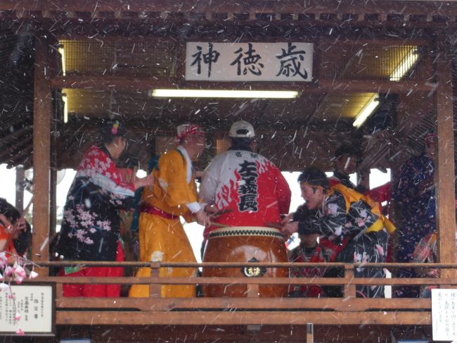 福井在住の友人に煽られて福井県の勝山市に出掛けました。<br />この冬の寒い時期にお祭りが有ると言うのです。<br /><br />一応雪国の土地柄なれど、その雪とは一切関係のない、春を呼ぶお祭りです。<br />雪が舞い散る寒空の中、震えながらもそのお祭りを見物してきました。<br /><br />実際のところ、そんなに期待して出掛けたわけではありませんが、非常に楽しかったです。<br />来年は、もっと時間を掛けてゆっくりと全部を見て回りたいと思います。