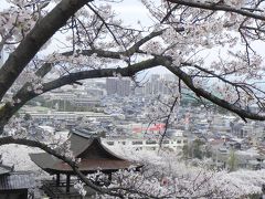 近江・京都　桜の旅　１　大津