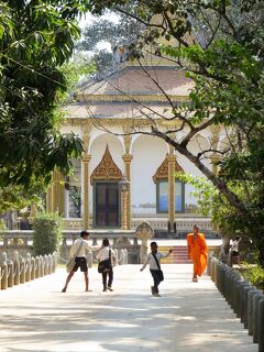 Cambodia　クメールの微笑み (33/33)　シェムリアップ　朝のお散歩（1月30日）