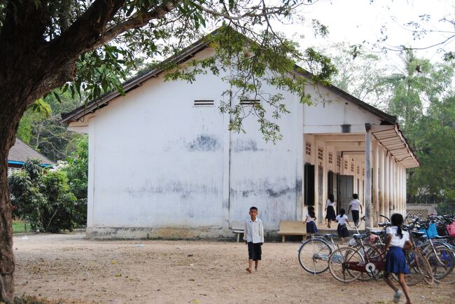 Cambodia　クメールの微笑み (26/33) シェムリアップ　チョムランさんの村　～ミツバチばあやの冒険～（1月28日）