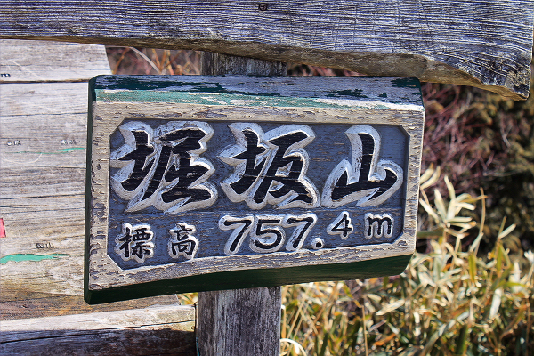 三重県の堀坂山(ﾎｯｻｶﾔﾏ)と観音岳に行ってきました。これらの山は松阪市の西側にあります。<br />手元の新・分県登山ガイドには登山道整備で周回が可能となった２つの里山とありますが、登ってみて、里山と言うには登り堪えのある山でした。 <br /> <br />森林公園駐車場(9:27)　―　林道入口(9:35)　―  登山口(9:56)　―　 <br />東尾根取付き(10:24～10:30)　―　５４８Ｐ(10:39)  ―　 <br />雌岳(11:15～11:18)　―　勢津分岐(11:30)　―　堀坂山山頂(11:42～<br />12:17) <br />　―  堀坂峠(12:53～13:00)  ―　観音岳山頂(13:35～13:47) <br />―　分岐(13:52) ―　展望あずまや(14:50～14:55)  ―　森林公園駐車場(15:05)<br /> <br /><br />森林公園駐車場に車を停めて橋を渡り、県道を歩くとすぐにコンクリートの林道が現れます。<br />そこから杉の枝が落ちた道を２０分歩程歩くと登山口に着きます。ここからが本格的な登山道となります。急な登りで息が切れましたが３０分程で東尾根取付きに到着です。ここからは尾根筋でアップダウンを繰り返しながら雌岳を目指します。<br /> <br />雌岳は東側の眺望が利き、石が積まれ祠が設けられていて、中には石仏が安置されていました。登山道に戻り、アップダウンを繰り返しながら進むと勢津林道からの合流点に来ました。山頂はもうすぐです。<br /><br />堀坂山山頂は信仰の対象となっていて石柱が立っていて、しめ縄が張ってありました。２棟の小屋が設けてありました。地元の人達たちが奉仕で設置したのでしよう。下の部分は石を積み重ねて、トタンの上屋です。雨風が避けられて助かります。山頂で食事を終えて堀坂峠を目指して下山です。登山道に雪が有って滑りやすく慎重に下っていきました。<br /> <br />堀坂峠は広く駐車場があり、ここから堀坂山に登れば短時間で往復が出来ます。堀坂山山頂で少年と母親たちが居ました。この駐車場に車が停まっていましたので、多分彼らがここに車を停めて、登ったのでしょう。少年と言葉を交わしましたが、伊勢から来たと言っていました。<br /><br />堀坂峠で少休憩して観音岳の山頂を目指しました。笹が生えている登山道を登っていきます。両側は過ぎの林となっていますが、迷うことの無い登山道を登っていきました。<br />高度を稼ぐに連れて堀坂山が見え出しました。<br />アップダウンを繰り返し４０分足らずで山頂に到着です。観音岳の山頂は三角点があるだけでプレートも何もありません。正面に先ほど登った堀坂山が臨め、東側は伊勢湾が広がります。<br /> <br />観音岳の山頂で小休止した後、尾根筋を東に向かい下っていました。<br />１時間足らず歩くと展望あずまやに到着しました。<br />東屋に双眼鏡が設置してありました。以前は有料でしたが、今は無料で見ることが出来ました。前面には松阪方面が広がります。展望を楽しんだ後、森林公園公園を目指して下山しました。道は階段になっていたのですが、段差が大きく歩き難い階段でした。<br /> <br />  <br /><br /><br />松阪市内から見える姿のよい山が堀坂山と観音岳です。以前、松阪に行った時、形の良い山があるな。位に思っていました。<br />その山に登ったのですが、登山道は登り始めが少し急登で、登り堪えが有りました。<br />