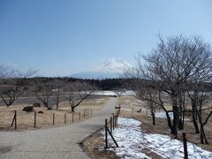 富士山の眺望をもとめて朝霧高原へ！