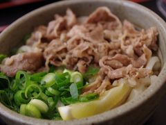 女子高校生による香川弾丸うどん食い倒れの旅！