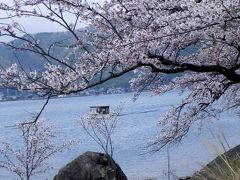 近江・京都　桜の旅　４　マキノ