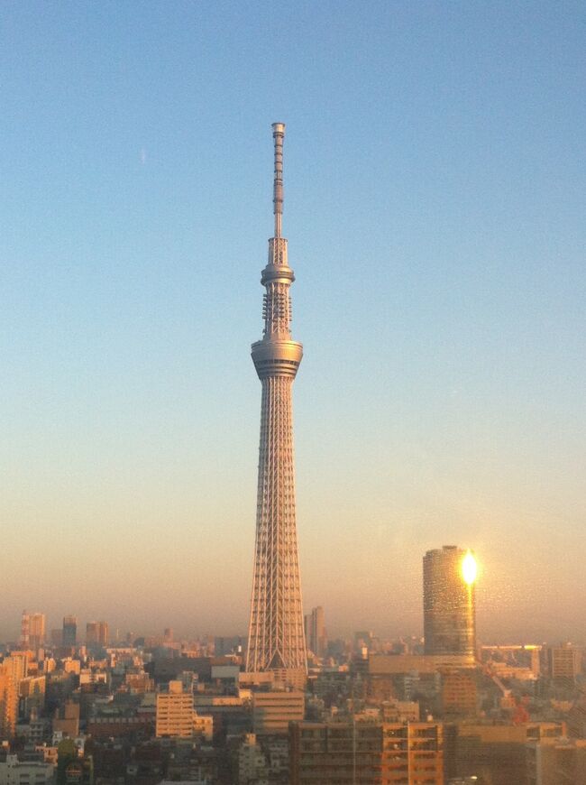 東京2泊3日 ダブルタワー真ん中ディズニーランド のはずが 3日目 1 14 残念ながら雲の中のスカイツリー 2013年1月 浅草 東京 の旅行記 ブログ By Superstoさん フォートラベル