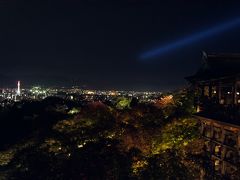 京都＆吉野　ぶらり紅葉の旅