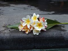 ３度目のバリ☆～移動日編～