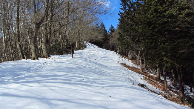 雪道トレーニングその３　あわや！危険がイッパイ本仁田山（奥多摩）