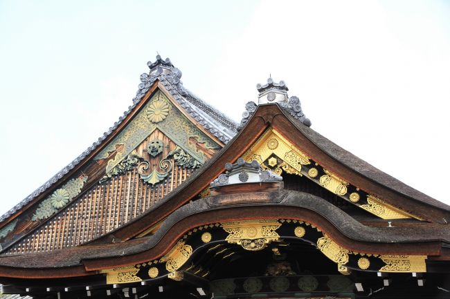 二条城<br /><br />慶長八年(1603年)徳川家康が、京都御所の守護と将軍上洛の際の宿泊所として造営し、三代将軍家光が伏見城の遺構を移すなどして寛永三年(1626年)に完成したものだそうです。<br /><br />慶応三年(1867年)十五代将軍慶喜が諸藩の重役を集め、大政奉還を発表した大広間一の間がある二の丸御殿が素晴らしいです。<br />歴史の重みをずっしりと感じられます。