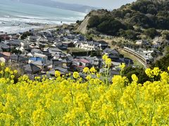 ひと足早い春を求めて南房総・和田浦に訪れてみた