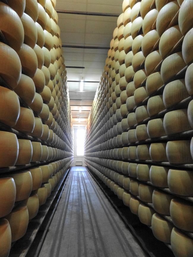 イタリアのチーズの王様　<br />パルミジャーノレッジャーノチーズを求めてパルマへ<br />製造から熟成させる事２年以上<br />タップリの時間を経てやっと完成する芳醇な味<br />その製造現場を拝見してきました<br />