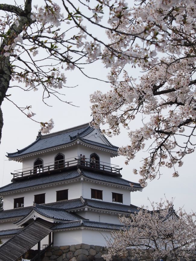 私、今、仙台におります（あ、もとは茨城県取手市ですわ・・）！！！<br /><br />旅行中〜〜！じゃないんです、住んでます！<br /><br />連れ合いへの転勤話は、突然ふってきた〜！<br /><br />３月に入った頃、仙台に転勤になるかも・・と、連れ合いからお告げがぁ〜〜！基本的に転勤のある仕事ではないのだが、今受け持っているプロジェクトの関係で、２年ほど仙台に転勤・・することになるらしい・・。<br /><br />仙台・・・と聞いて、私の頭に浮かんだのは「光のページェント」！うふっ☆！一方、連れ合いの頭に浮かんだのは「牛タン」だったらしい・・。あ！七夕まつりもいいな〜！！！・・なんて浮かれてる場合じゃない・・。<br /><br />会社の転勤というものは、内示だの手続き上の都合で、正式決定するまでじれった〜い日々があり、せっかち気味な私でも、勝手に行動を開始できず、と〜ってもイライラする毎日・・・。で、いざ内示が出ると、とっとと引っ越せ〜〜・・って感じで・・・追われるような日々が始まったのである。<br /><br />切羽詰まった日々の中で（と言っても、お花を見に行ったり・・最後までしつこく出かけていたのが災いしてるんだが・・）、どうにも収拾がつかなくなり、４トラへの出入りを自分に禁じ・・・何とかギリギリのところで引っ越しも無事に終わり、ＧＷのブダペスト旅行のプランも大体立て終わった・・のが今日・・・。<br /><br />とりあえず、たまった写真の中から、仙台にやって来るまでの慌ただしい日々をつづってみようと思います・・ので、単に個人的な記録・・です・・すみません・・適当に流してくださいませ。<br /><br />そして、自主的４トラ出入り禁止の間、掲示板に書き込みして下さっているありがた〜い方々、フォローして下さっている方々、私がフォローしている方々、私の旅行記を見て下さった方々・・・ＧＷが明けて帰国したら、ひとつずつ復帰していきますので、全く返事や音沙汰なしのご無礼を許して下さいね&lt;m(__)m&gt;！<br /><br />