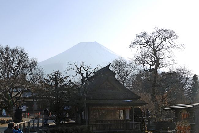 今日は少し早めに出発で来たので，忍野八海によってみた．立川発1455のかいじ111号で大月に1534．そこからタクシーで忍野八海へ．湧池，濁池，銚子池，御釜池，鏡池，菖蒲池の６つの池を見る．しかし20数年ぶりでゆっくりみた忍野八海は残念ながらものすごく観光地化されていた．中池などの人工池やお土産物屋が氾濫していた．富士山がよく見えるので許せるが，本当にこんなに観光地化されて本来のきれいな湧水が汚されている．世界遺産になれるのかなあ．．富士講の信仰は確かに世界遺産にふさわしいと思うが，これではね．．．<br />　またほとんどの観光客が中国語を話しているのにもびっくりした．中国寺が富士山が好きなのは知っているが，ここが富士山の代表的観光地化と思うと心が痛む．