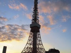 東京タワー　ヒコウキとフジサンと、時々、うるる