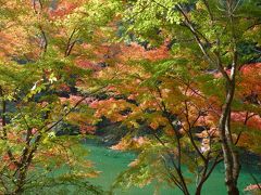 祖谷渓の紅葉は見事でした！◆2012年秋／神戸→琴平→祖谷→有馬の旅≪その６≫