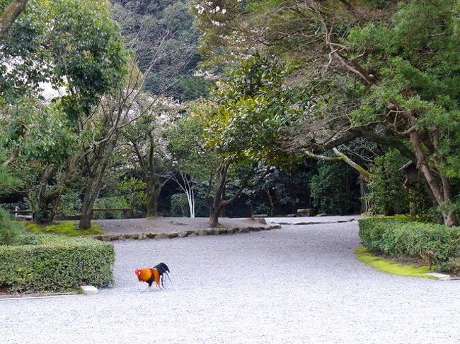 写真のみ公開中