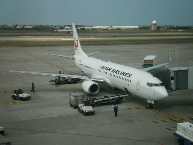 台湾桃園〜日本成田線で初めて、日本航空・鶴丸塗装の737-800機材のジェット機に搭乗しました。