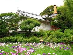 本土寺と水元公園