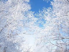 極寒の北海道で流氷と温泉を楽しむ (Hokkaido in mid-winter)