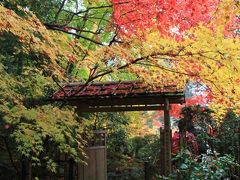 京都の紅葉　2012　～南禅寺　、天授庵～