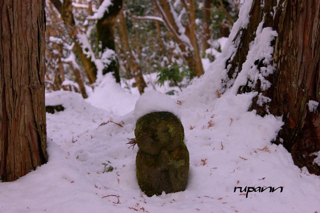 2010年大晦日　近年の京都には珍しく吹雪だった。<br />この時は金閣寺と銀閣寺へ馳せ参じた。<br />それは次回に...<br /><br />2011年元旦　<br />ライブカメラで雪をチェックして大原の里へ<br /><br />やっと逢えた～<br />三千院の雪帽子をかぶったわらべ地蔵さん♪<br />時折青空も見えた雪景色の三千院と宝泉院へ<br /><br />出町柳から乗ったバスは　一旦車庫へ入り<br />チェーンを装着して待機しているバスへ乗り換え<br />雪景色の大原の里へ　到着。<br />三千院への参道途中にある棚田の雪ではしゃぎ（笑）<br />さて　三千院へ　<br />あったかい甘酒の接待にほっとして<br />宝泉院へ　ここの松も寒そうだった。<br />